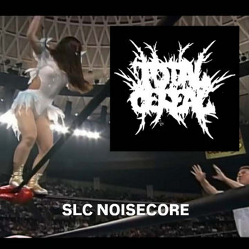 SLC NOISECORE
TOTAL CEREAL