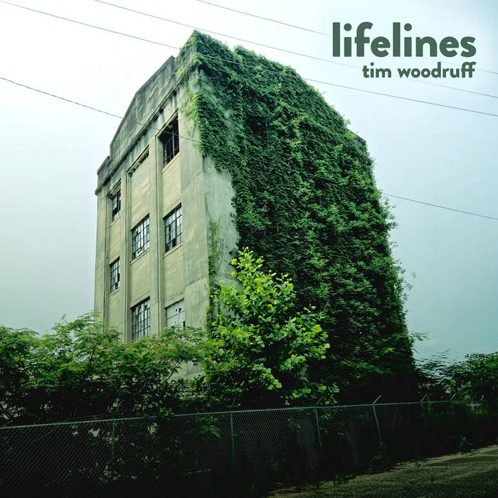 Lifelines by Tim Woodruff cover art