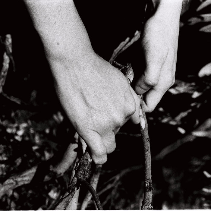 Slow Trade Push Against My Hands | Slow Trade