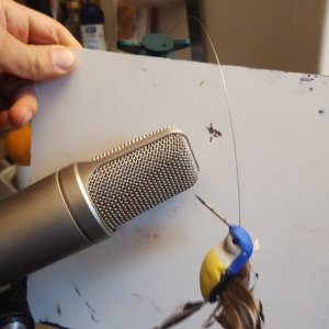 Bird tapping microphone cover