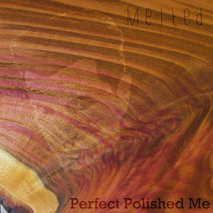 Perfect Polished Me (single) cover