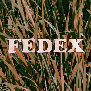 FedEx cover