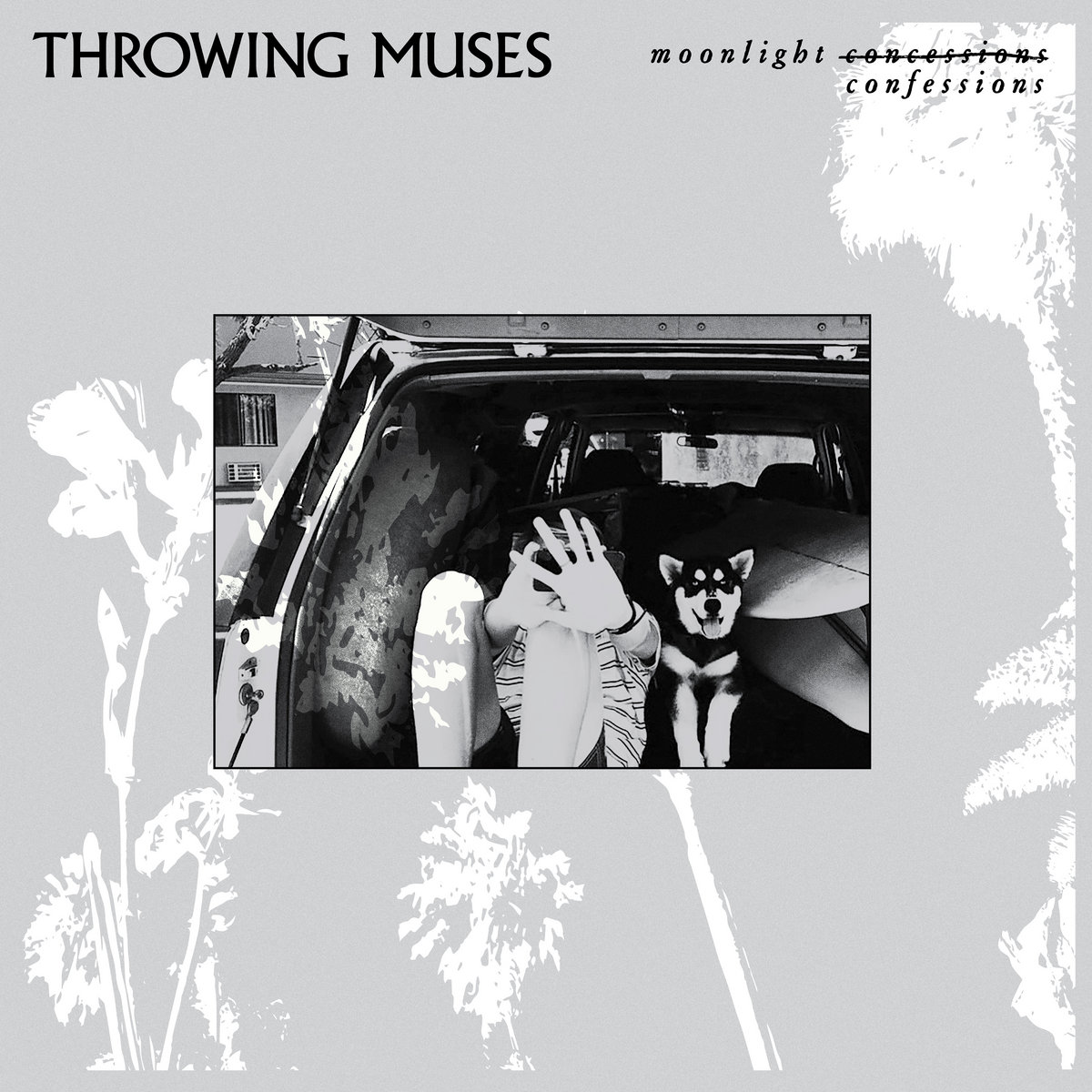 Moonlight Confessions | Throwing Muses