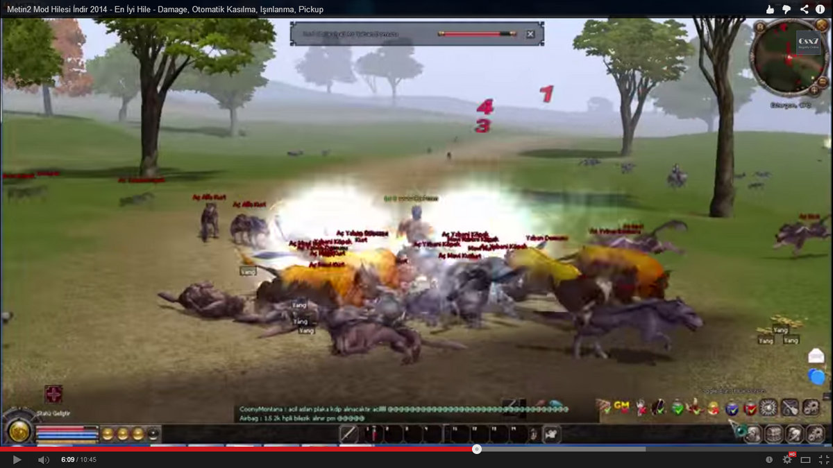 metin2 dmg download