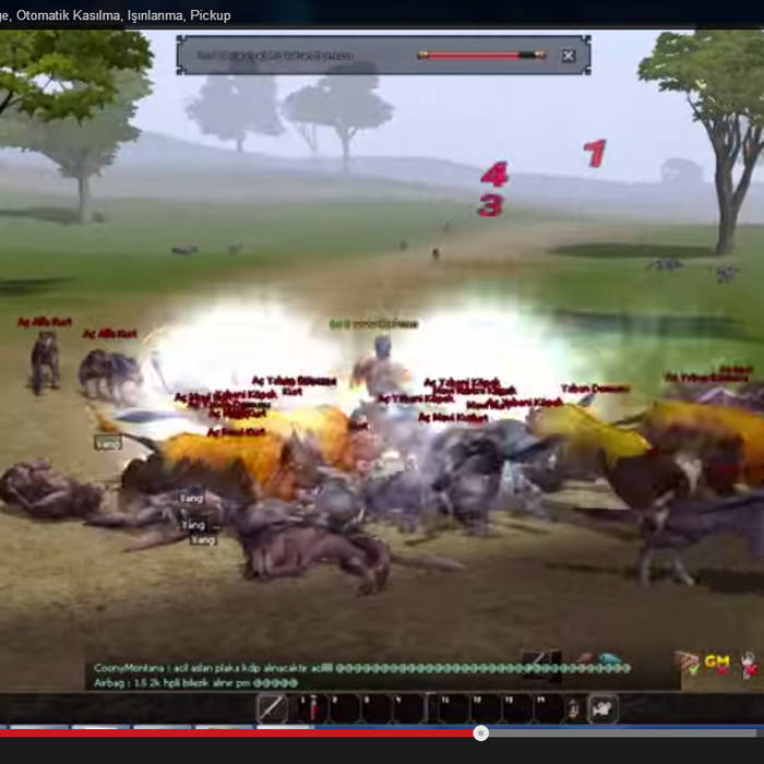 metin2 dmg download