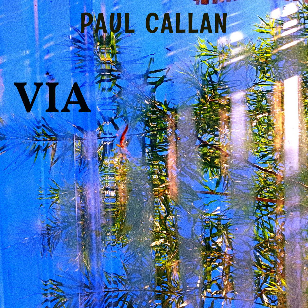 VIA cover