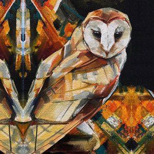 KR3TURE — Owl's NestKR3TURE, MOMNT, Momentology