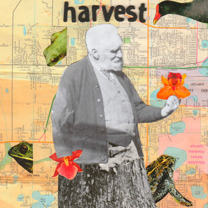 Harvest [feat. k.suze of TRASHWORLDFL] (single version) cover