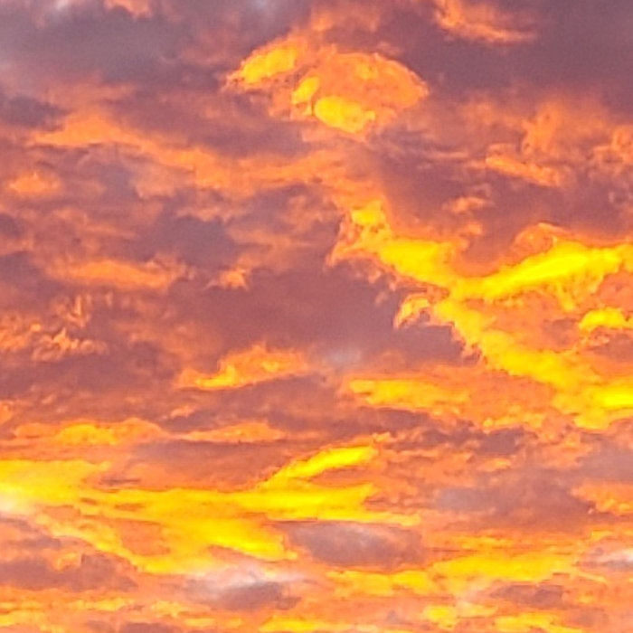 Explorer (Dr. Livingston, I Presume) MK Alterra