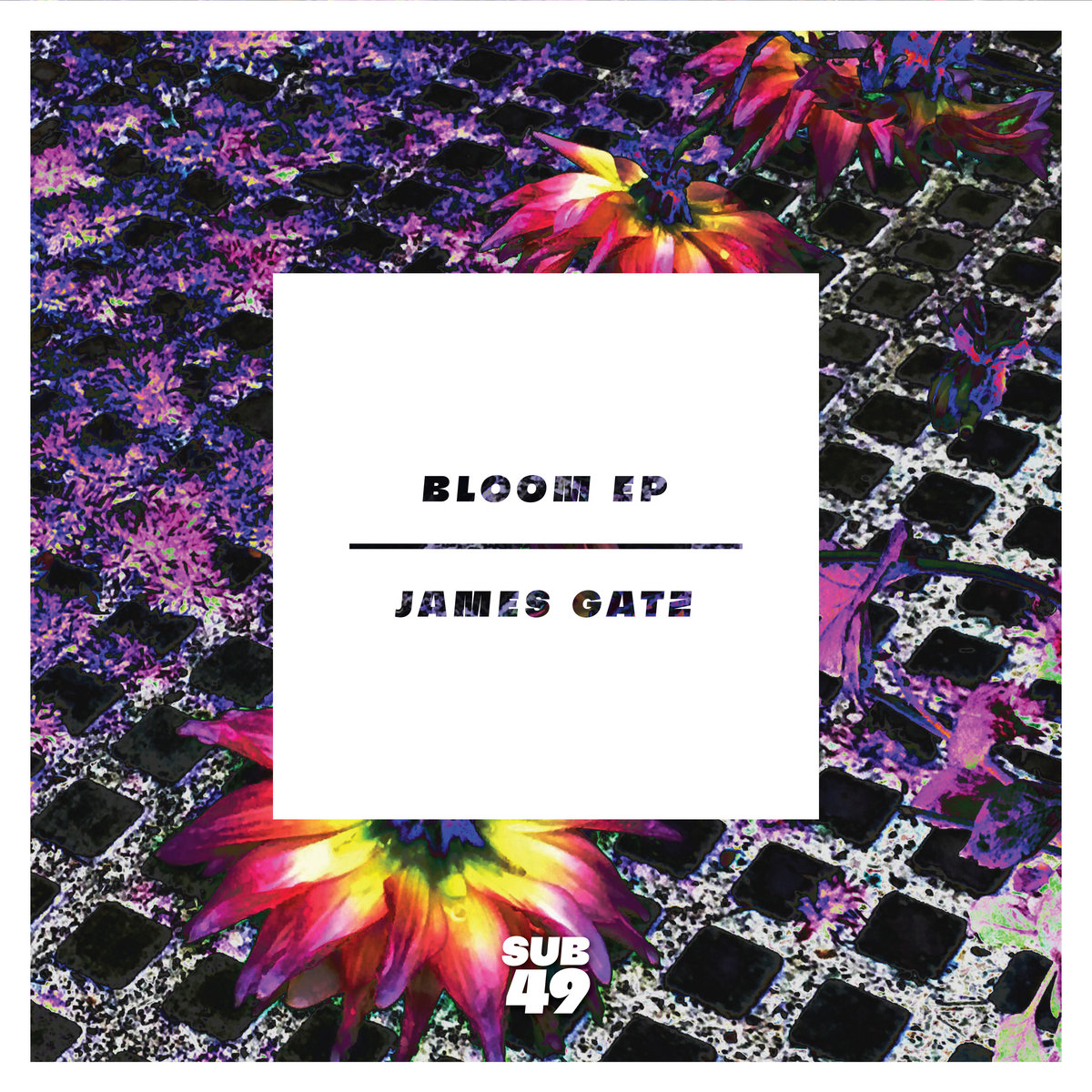 Bloom cover art