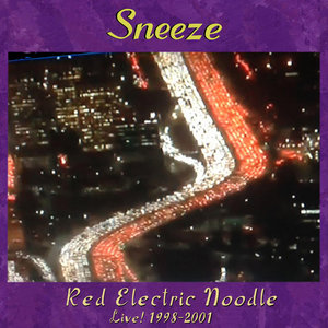 Red Electric Noodle LIVE! 1998-2001 cover