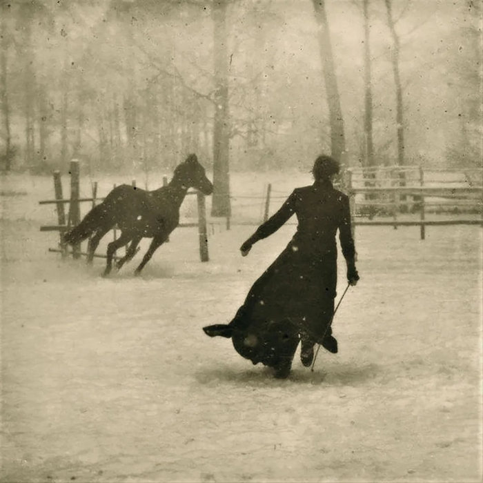 Fox Ridge Park / Irked Angel | Fox Ridge Park