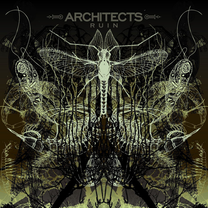 Ruin | Architects | Distort Ruin | Architects | Distort