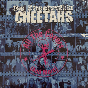 All The Covers and More (double album) cover