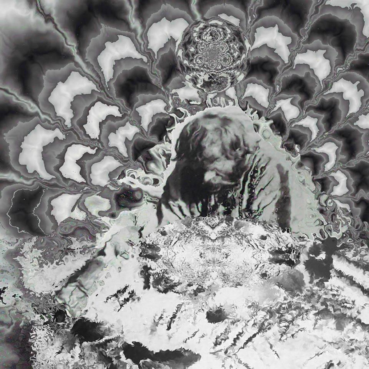 Demo II | Vihameditaatio