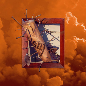 Conceit cover