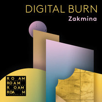 Digital Burn cover art