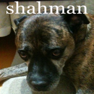 Shahman 7" cover
