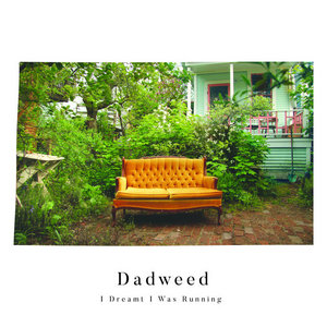 Dadweed — I Dreamt I Was Running