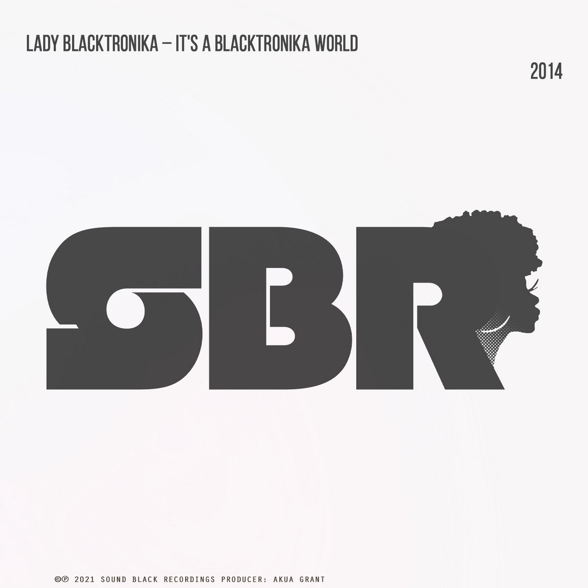 Lady Blacktronika ‎– It's A Blacktronika World SBR White Labels 2014