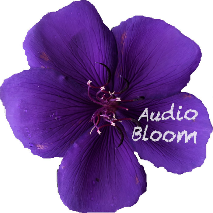 Audio Bloom Audio Bloom