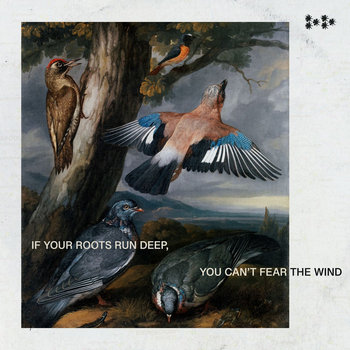 Pleiades - If Your Roots Run Deep, You Can't Fear The Wind