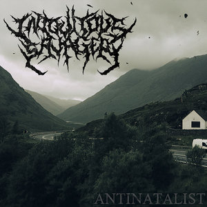 Antinatalist cover