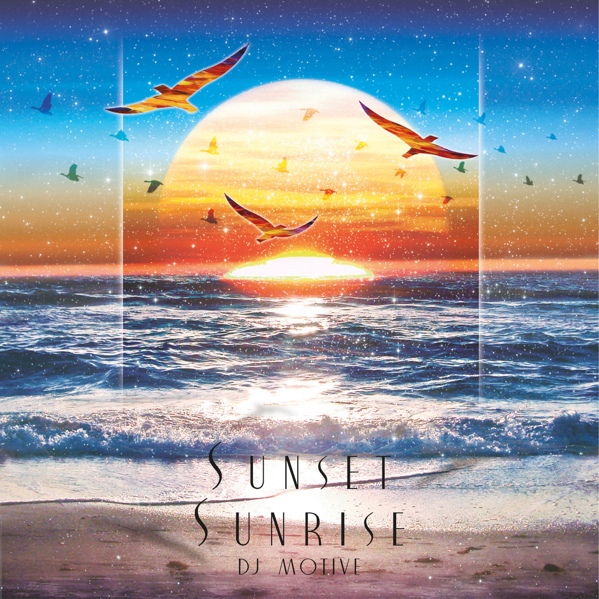 新品★SUNRISE TO SUNSET From here to DVD 新品☆SUNRISE TO SUNSET From here to DVD