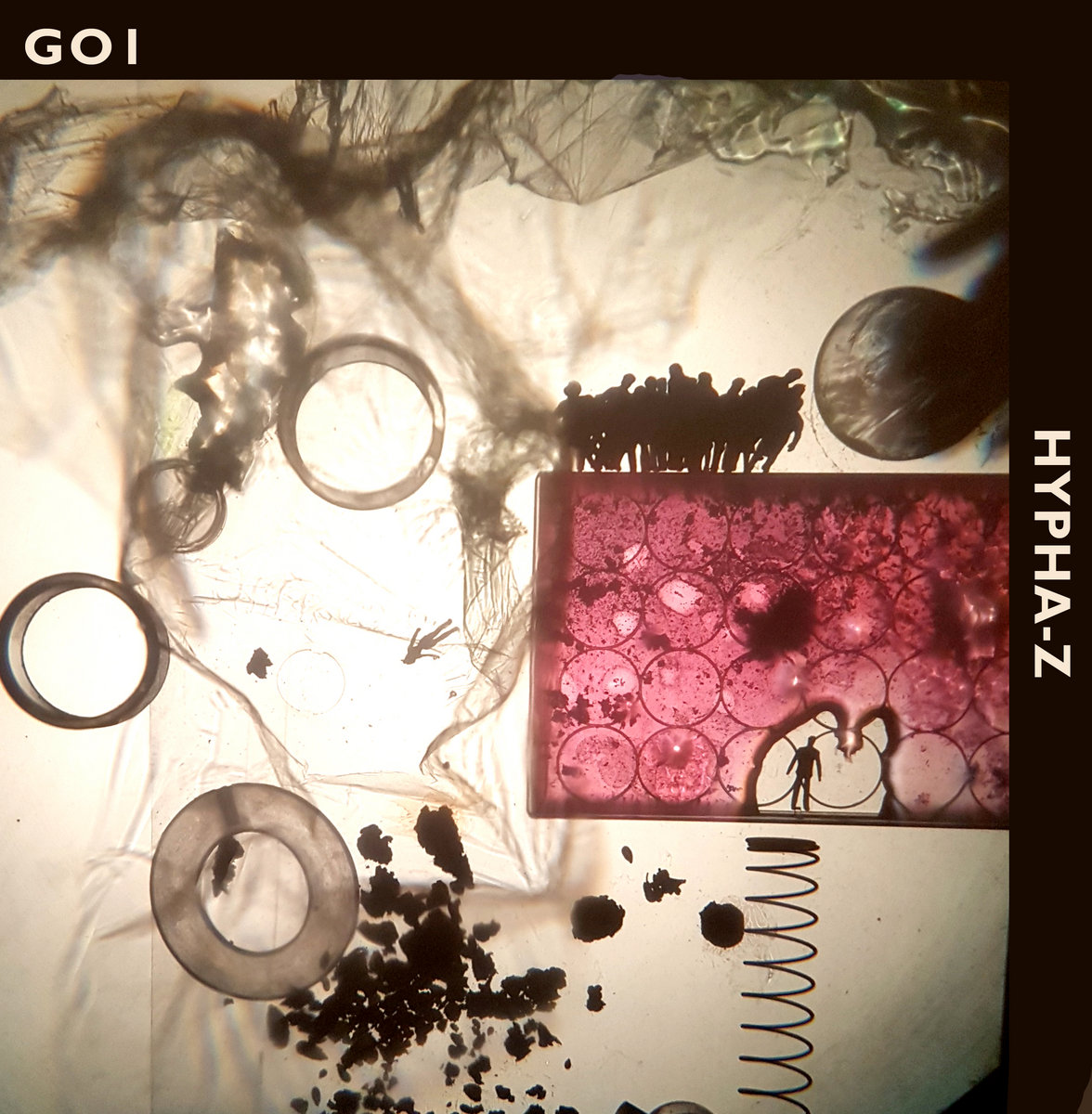 HYPHA–Z cover