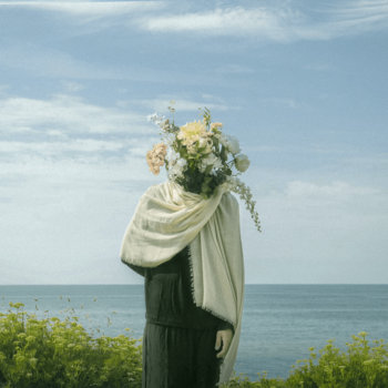 Music | Calathea