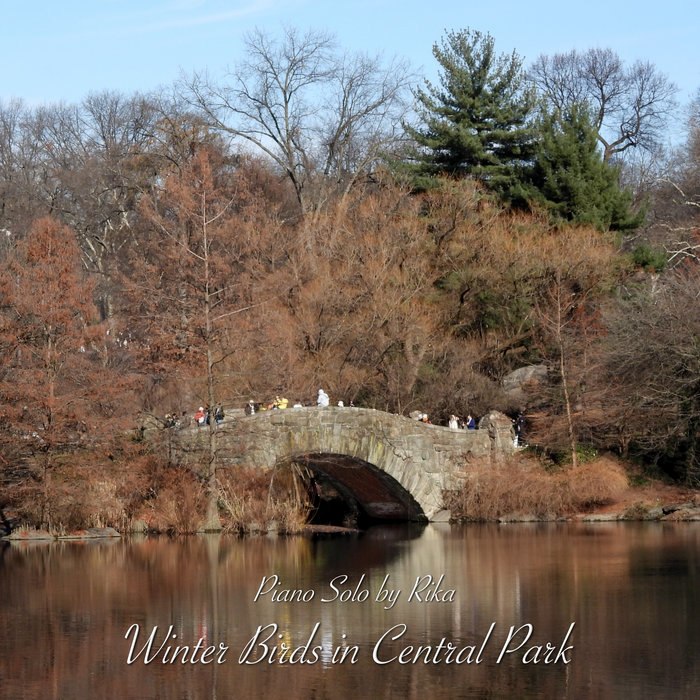 Winter Birds in Central Park cover art