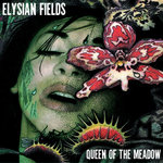 Queen Of The Meadow