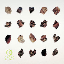 Leo Leonski & Shoao — Leo Leonski & Shoao - Acid Gato