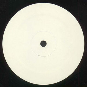 TIGER STYLE cover