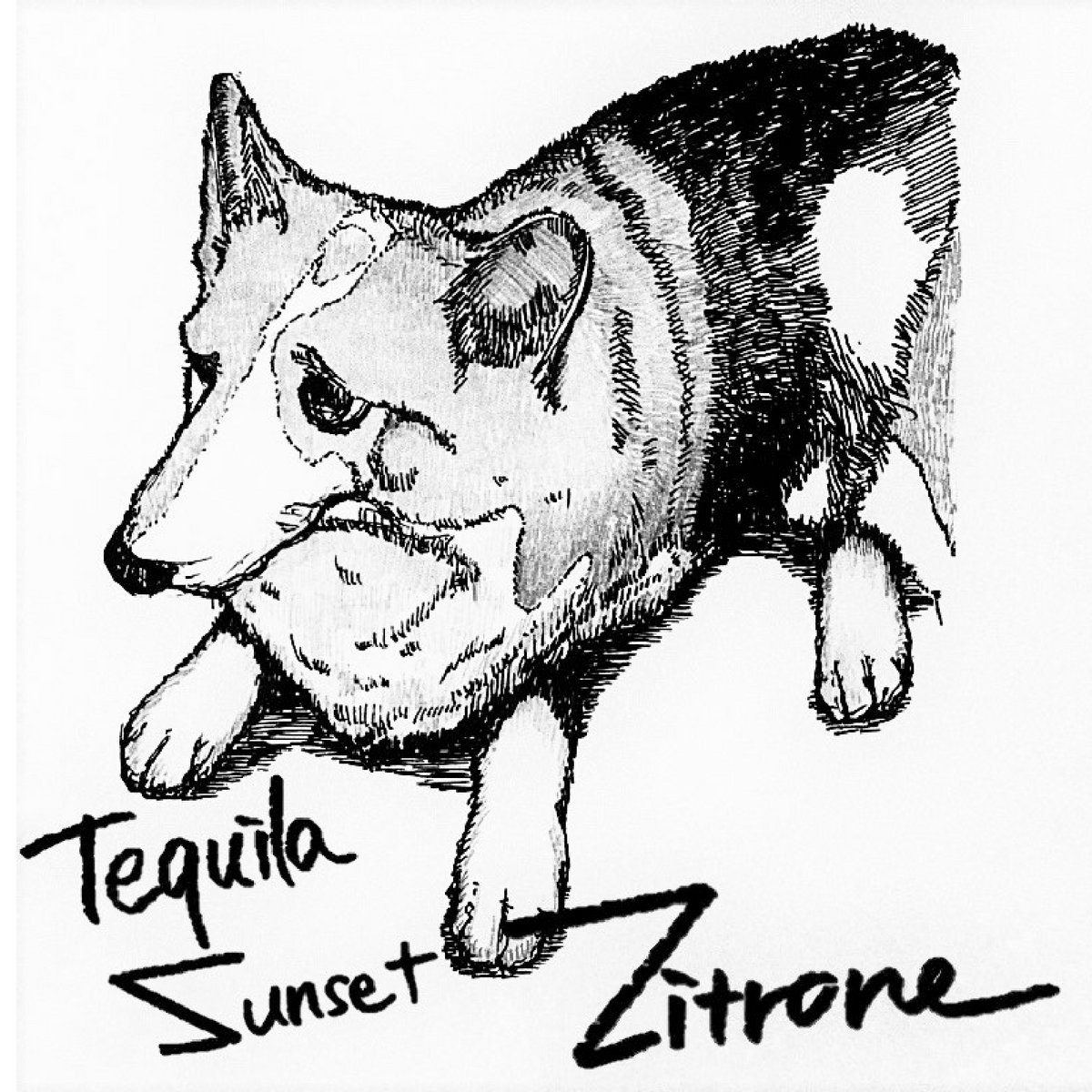 Tequila Sunset | Zitrone | ツィトローネ