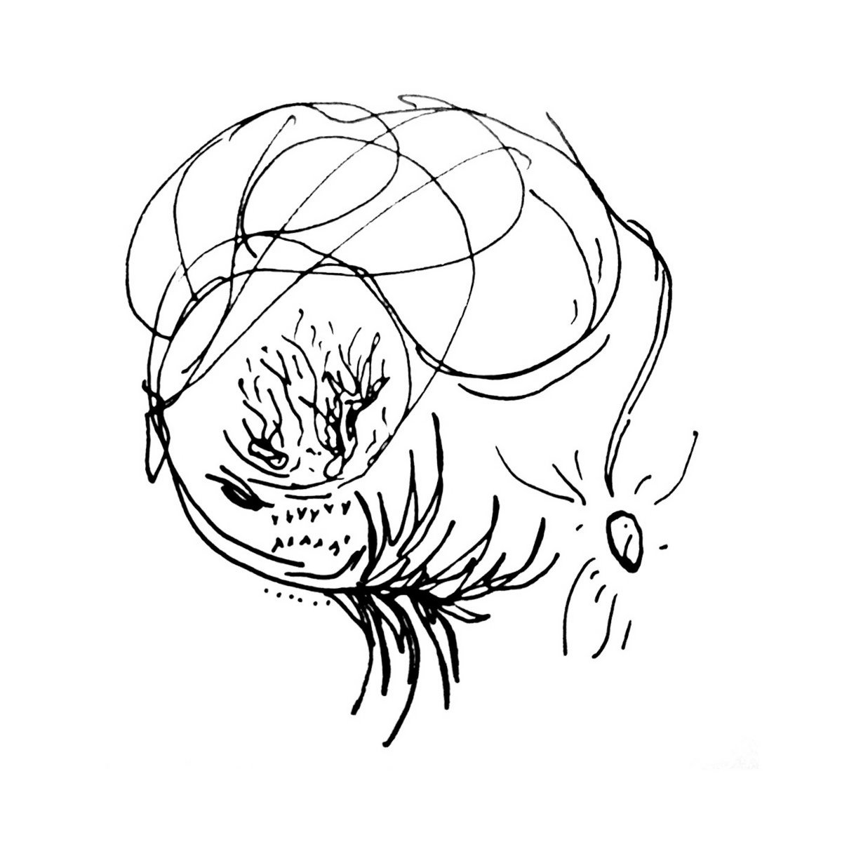 Small Worm Tape cover