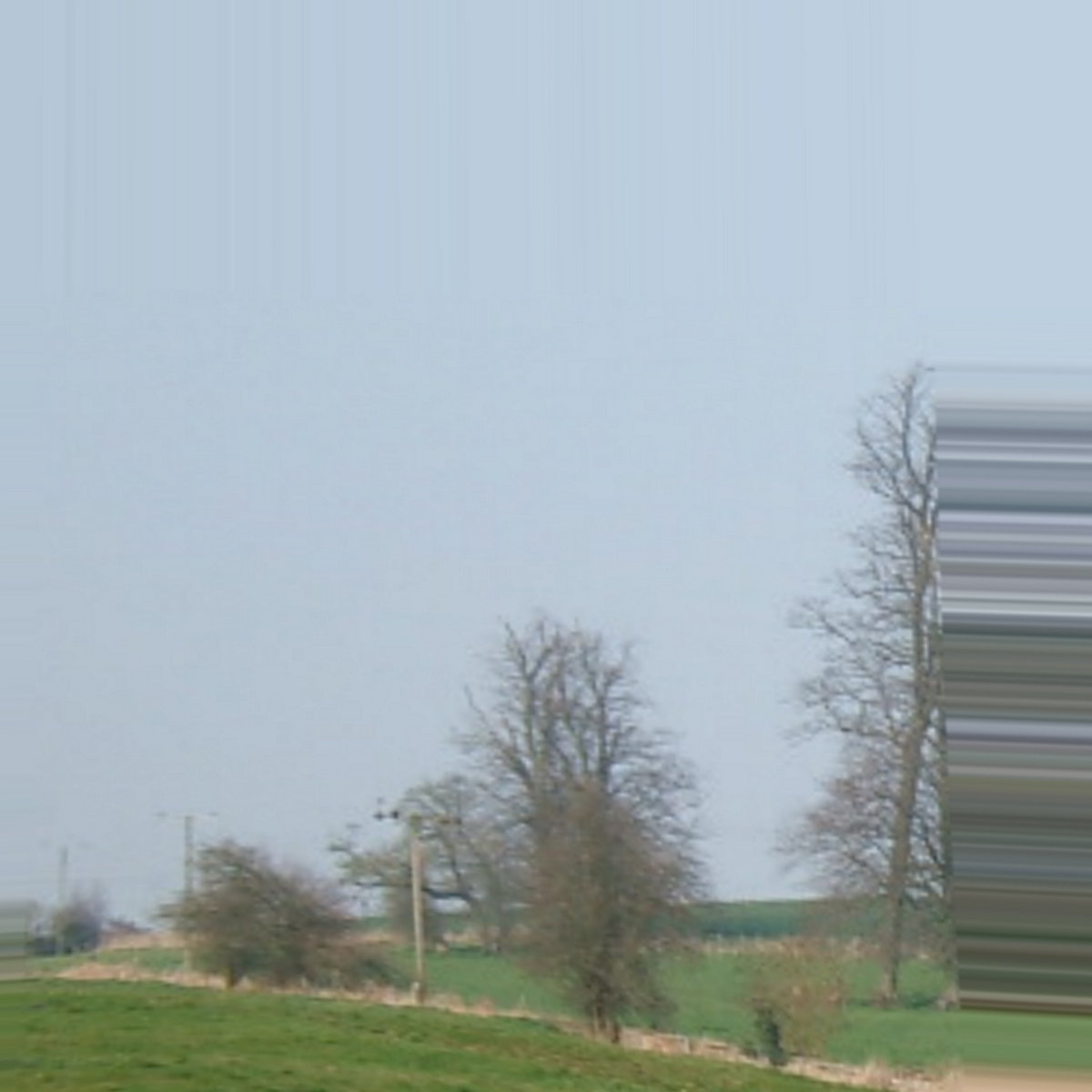field