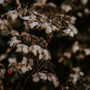 enduser (w/ Aaron Bianchi) Demos and B sides