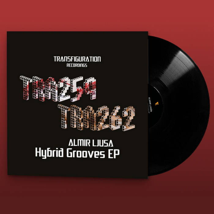 Hybrid Grooves 2 | Almir Ljusa | Andy BSK