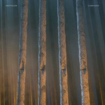 Album artwork for Companion