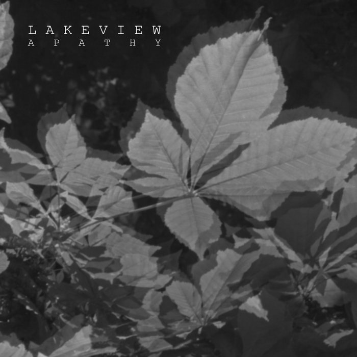 Apathy lakeview