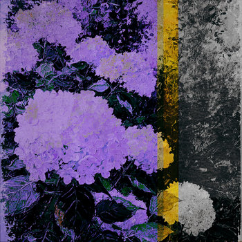 Cover of Hydrangea EP