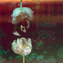 Spent Blooms cover art