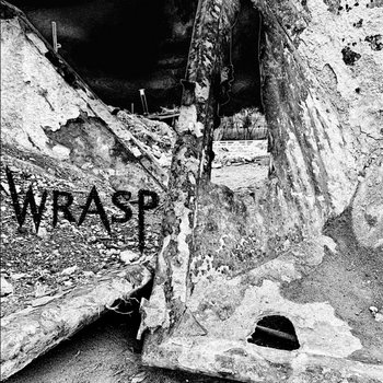 Album artwork for Wrasp