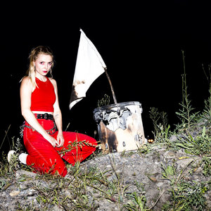 The Discography cover