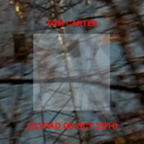Lilypad 09 October 2010 cover art