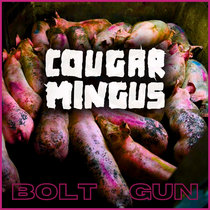 Bolt Gun cover art
