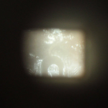 Dead Ends
Kallie Lampel