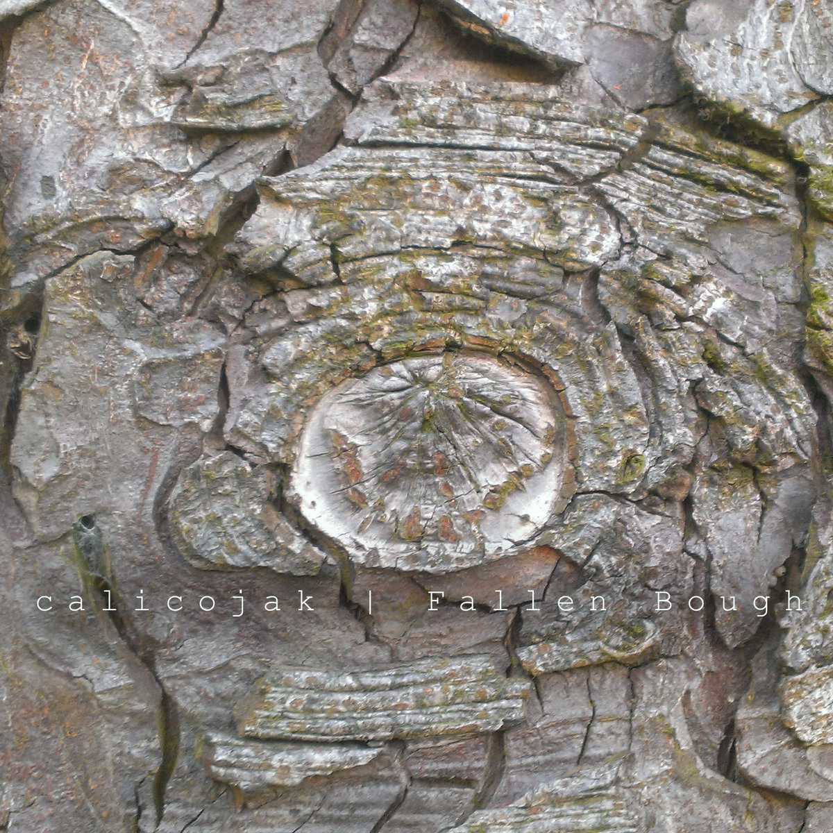 Fallen Bough EP cover