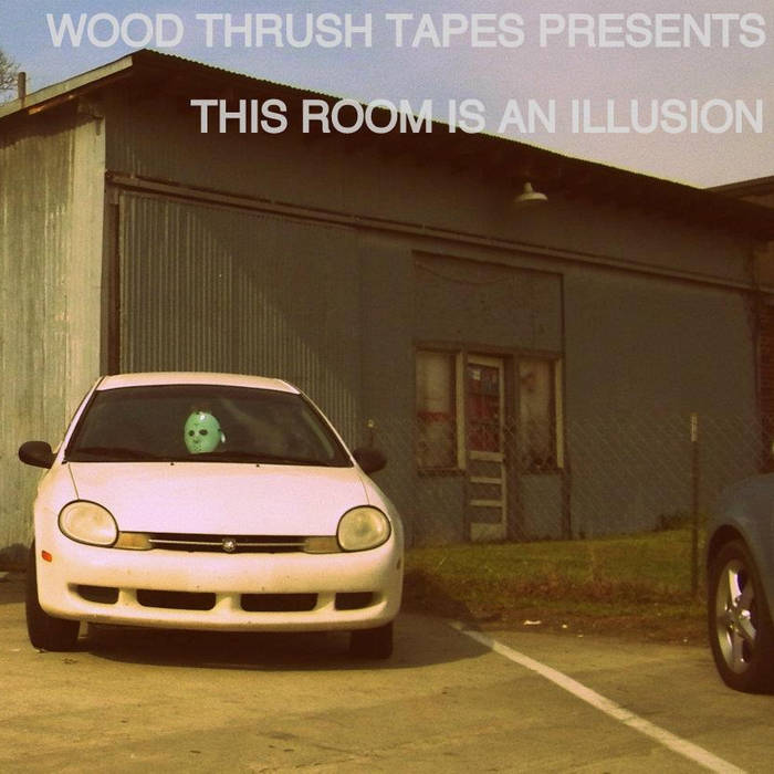 This Room Is An Illusion A Wood Thrush Tapes Compilation Wood Thrush